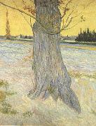 Vincent Van Gogh Trunk of an old Yew Tree (nn04) oil painting on canvas